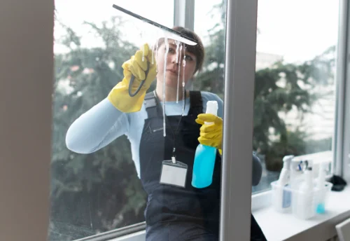 Nettoyage de vitres intérieures et extérieures à Amailloux